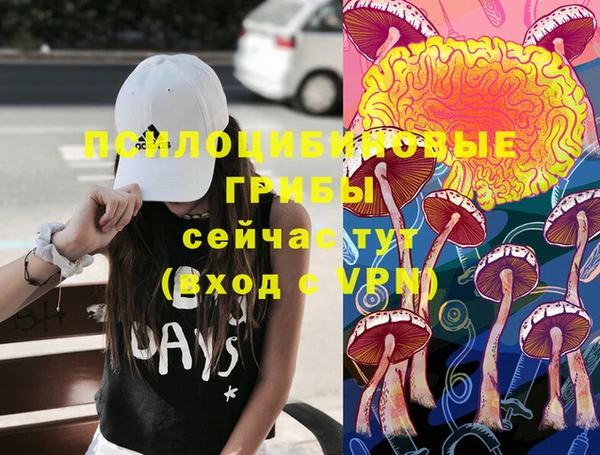 спиды Белоозёрский