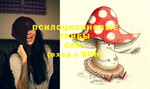 МДПВ Белокуриха