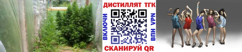 Купить закладки  Спас-Клепики  Дистиллят ТГК вейп 